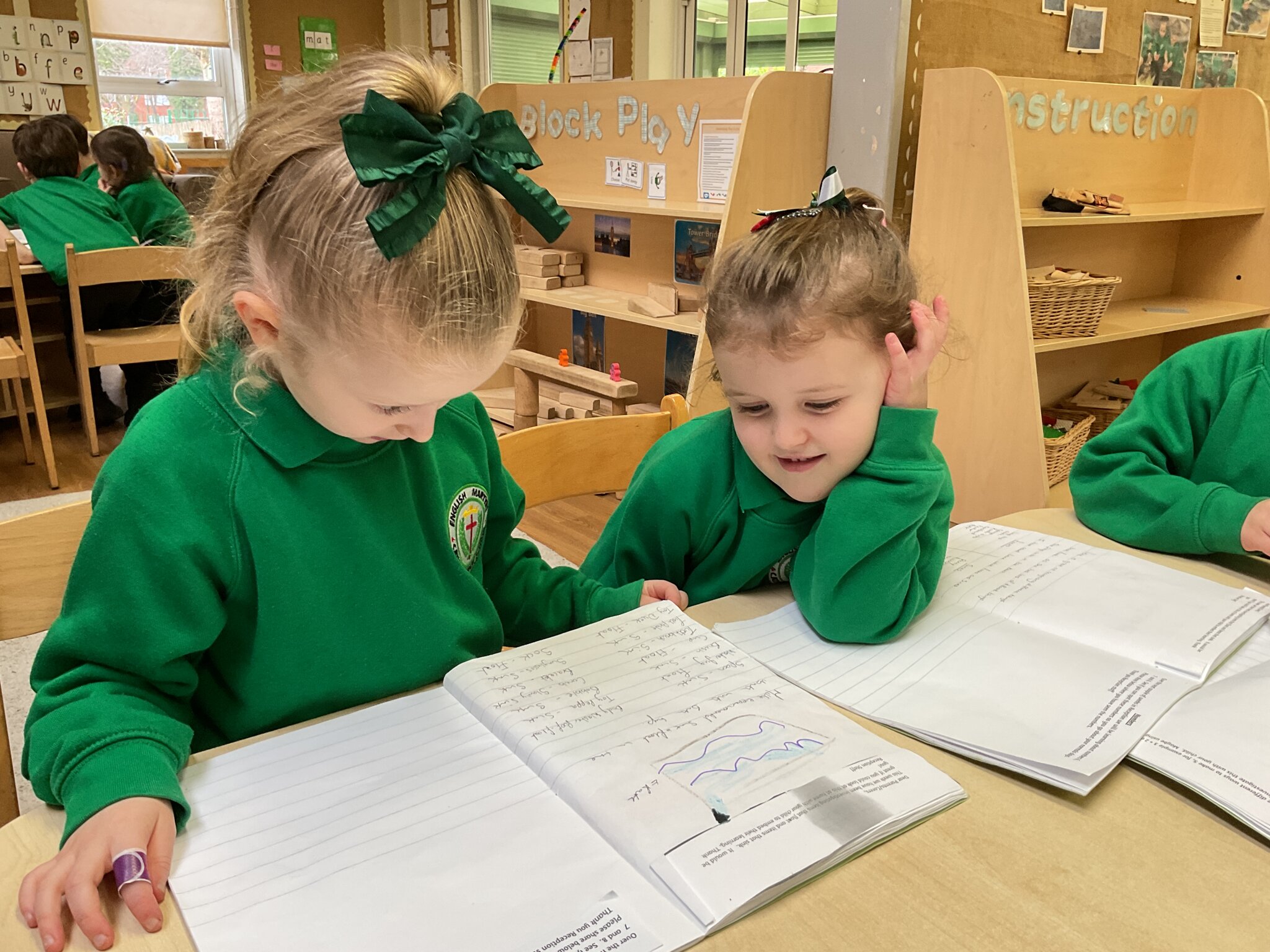 Image of Home school diaries