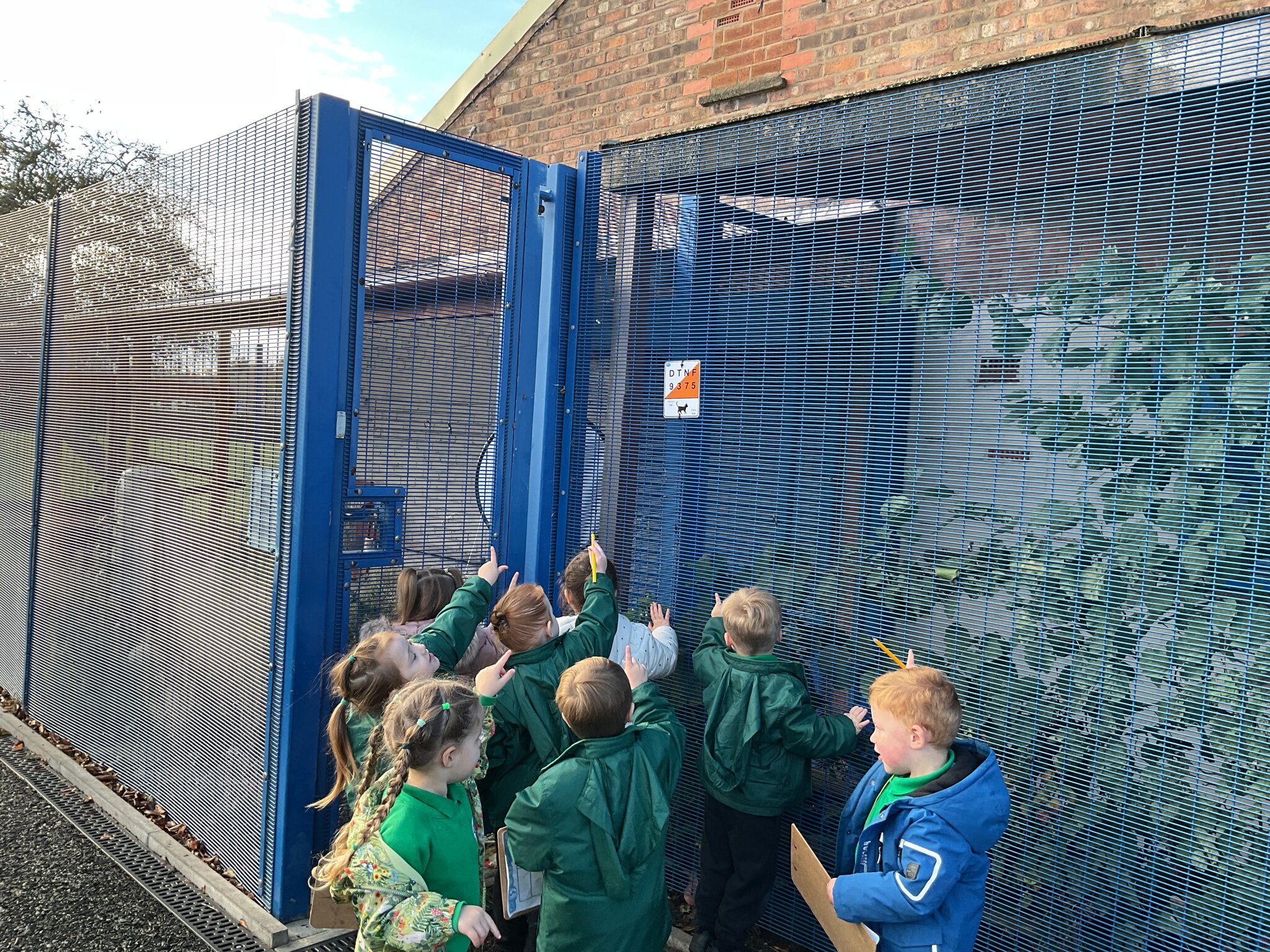 Image of Nursery A Orienteering