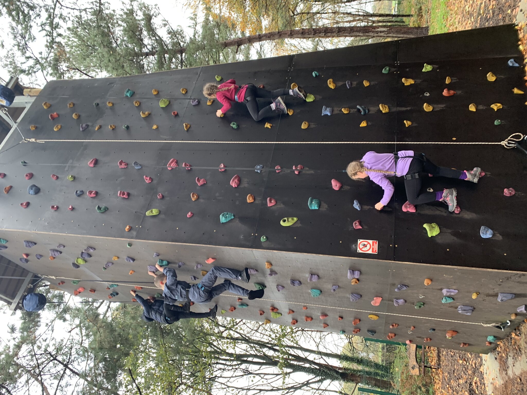 Image of Climbing wall