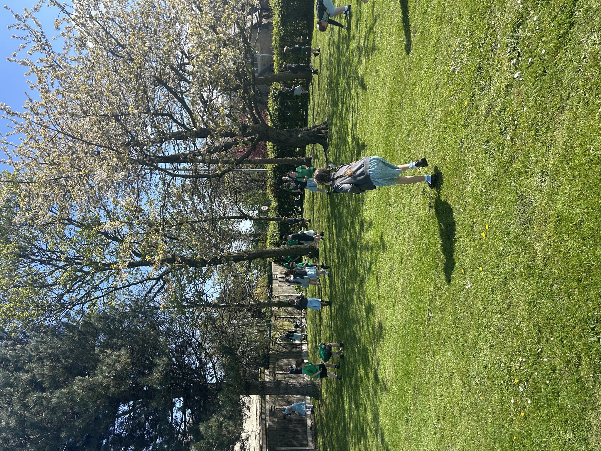 Image of Collecting natural materials for art