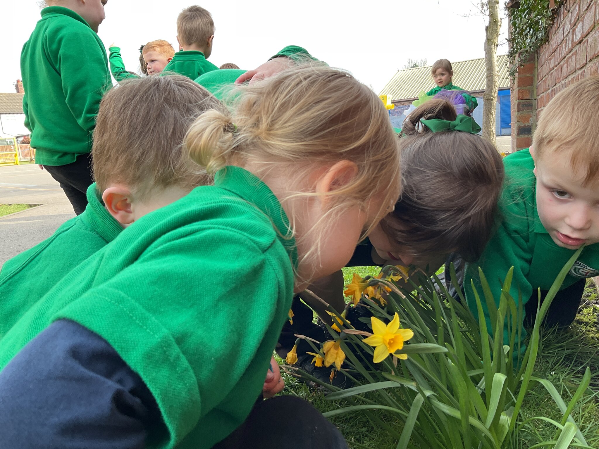 Image of Spring Walks in Nursery A