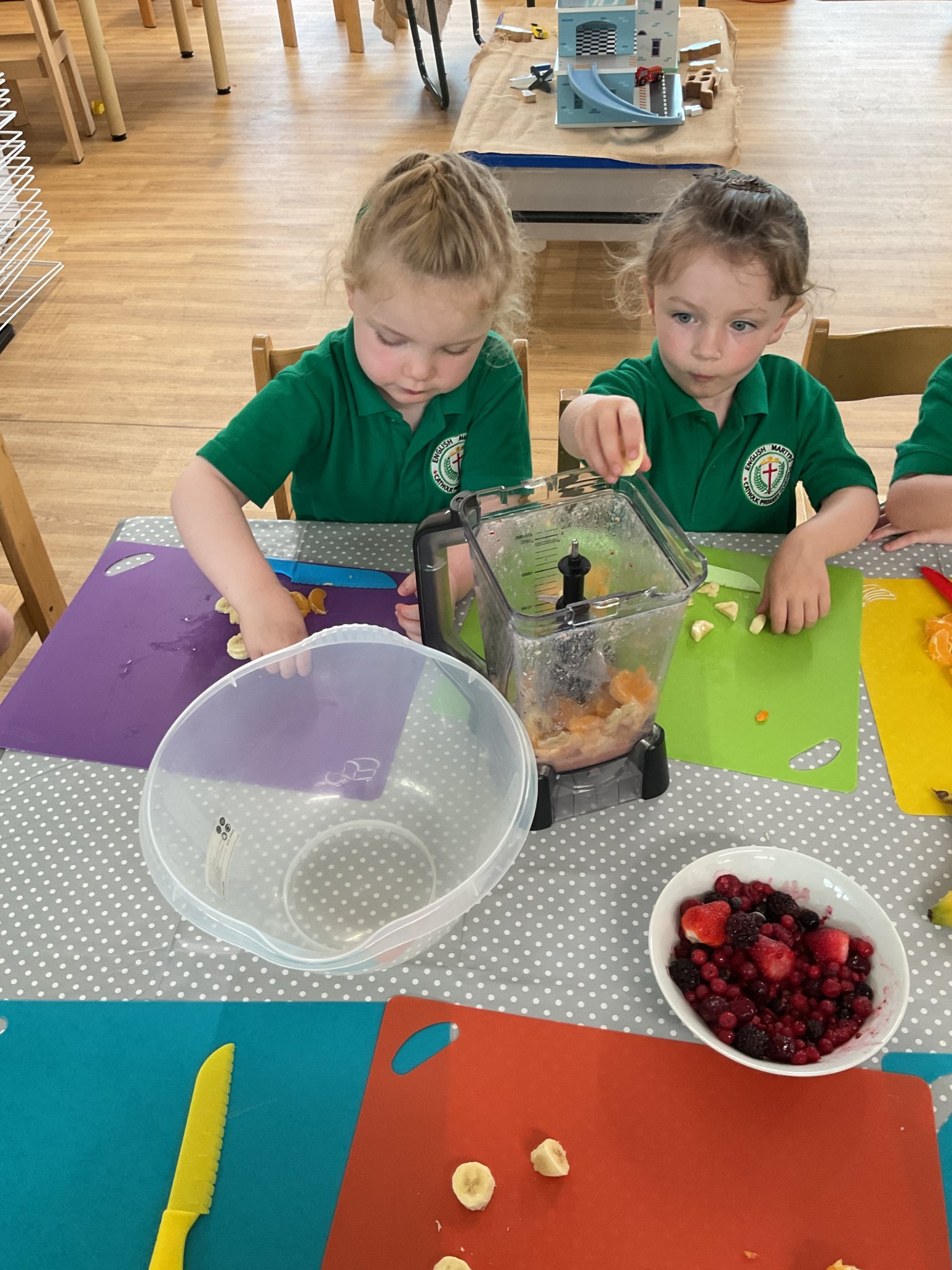 Image of Making Fruit Smoothies