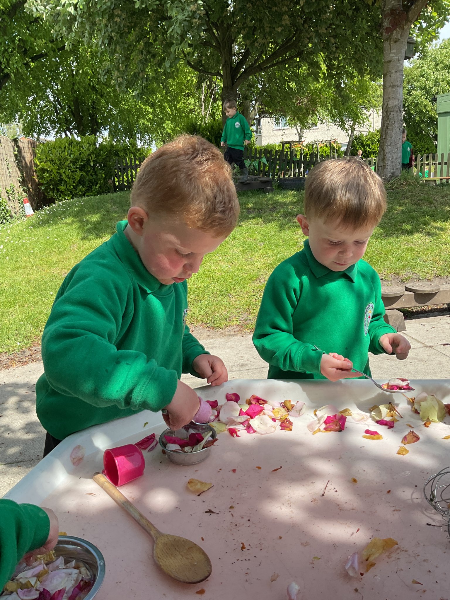 Image of Petal water play