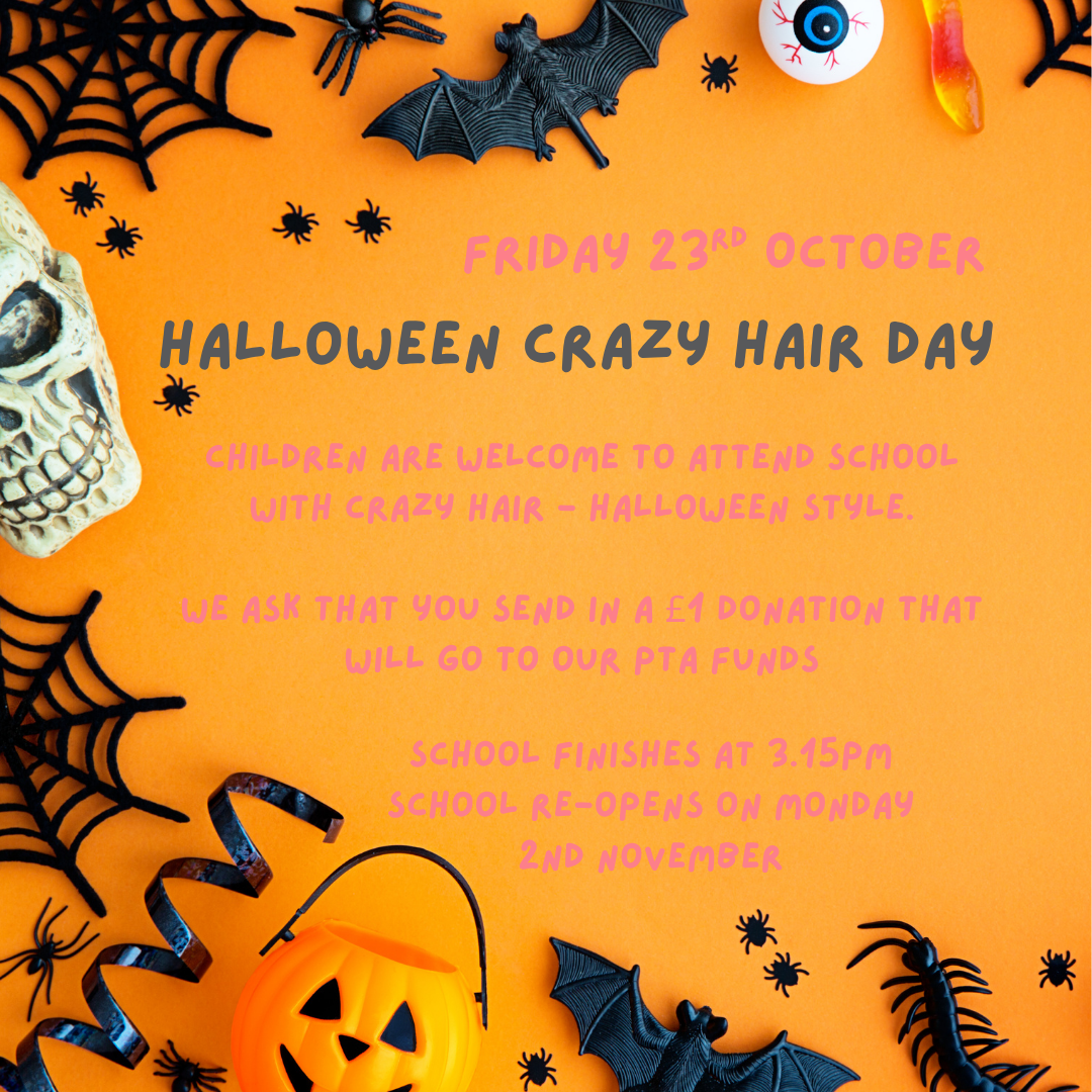 Image of Mufti Day - Halloween Crazy Hair