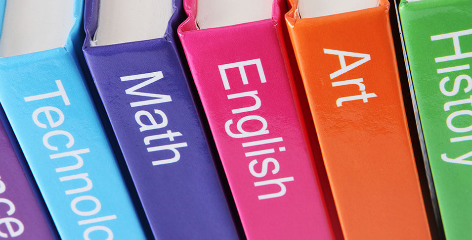 Image of Enriching the curriculum!