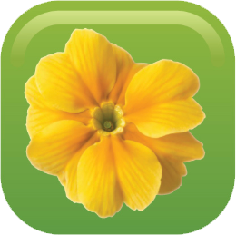 Euxton Primrose Hill Primary School