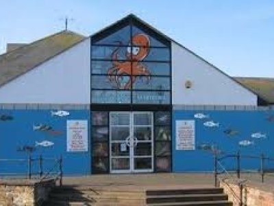 Image of Nurture Group at Maryport Aquarium