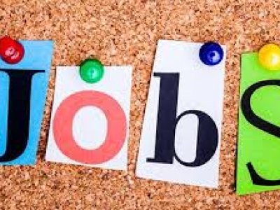 Image of Year 6: Jobs in the Community
