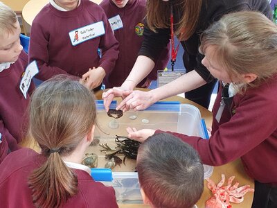 Image of Nurture Group: Wildlife Trust Visit