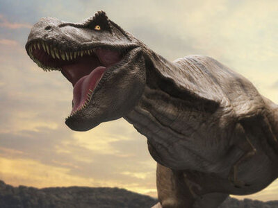 Image of Dinosaur Movie Competition - Results