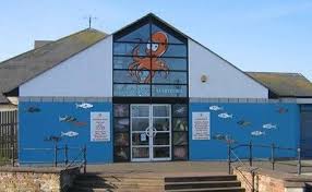 Image of Nurture Group at Maryport Aquarium