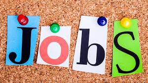 Image of Year 6: Jobs in the Community