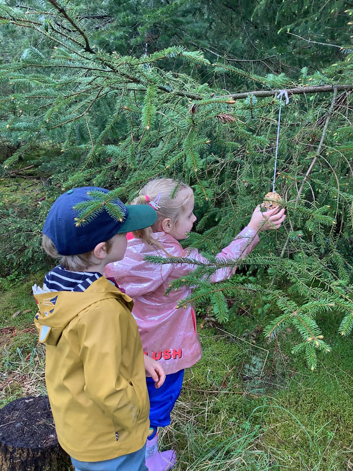 Image of Nursery: Forest School!