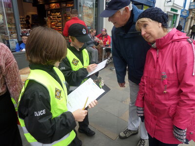 Image of Mini-Police