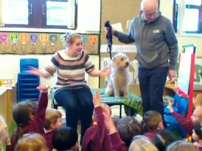 Image of Dog Grooming in Reception...