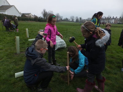 Image of Tree Planting