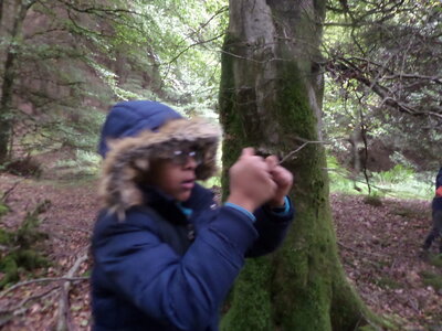 Image of Year 3 Forest School