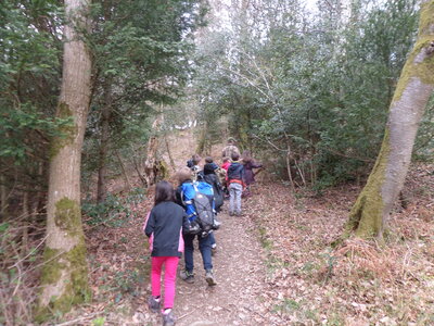 Image of Day 2 Year 3 residential Bassenfell Manor