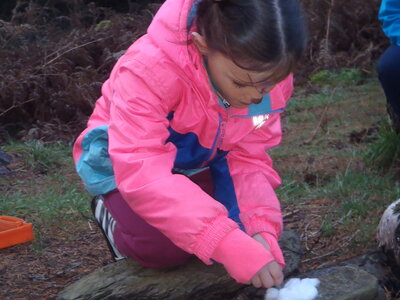 Image of 3GT Week 2 Forest School Fire