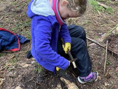 Image of Autumn Term Year 3 Whittling Pegs