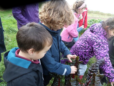 Image of Nurture Group: Farm Trip 2022