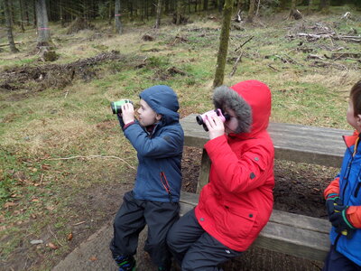 Image of Nurture Group: Whinlatter Trip