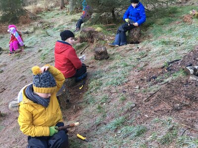 Image of Year 3 FS Tent Pegs