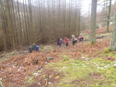 Image of Year 5EC Spring 2020 Forest School