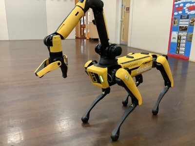 Image of Year 6: Robot Dog Visit