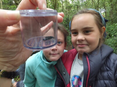 Image of Year 4: Finglandrigg Nature Reserve