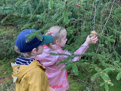 Image of Nursery: Forest School!