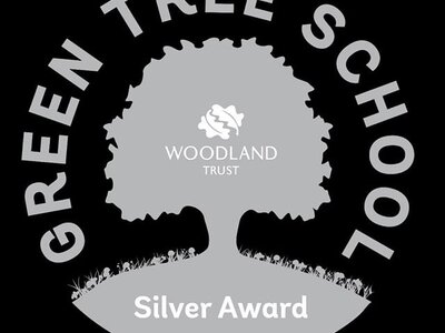 Image of Silver Award: Green Tree School’s Award!