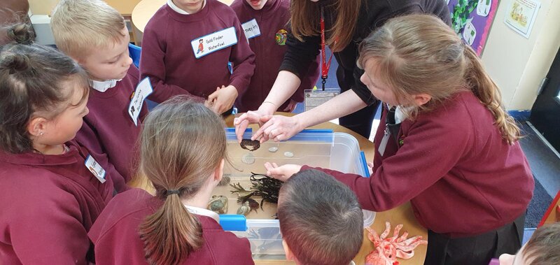 Image of Nurture Group: Wildlife Trust Visit