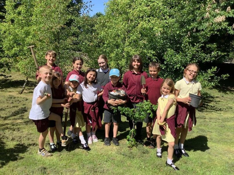 Image of Eco-Council: Tree Planting (King's Coronation)