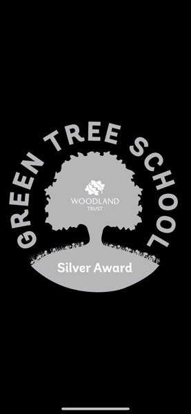 Image of Silver Award: Green Tree School’s Award!