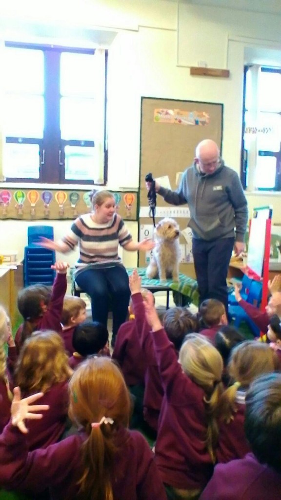 Image of Dog Grooming in Reception...