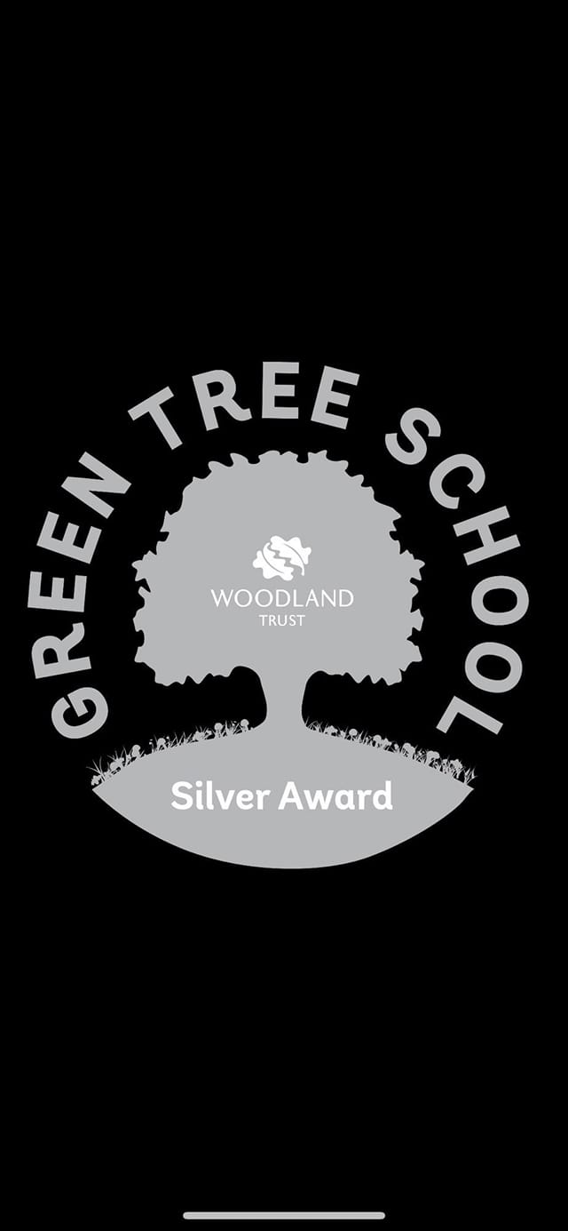 Image of Silver Award: Green Tree School’s Award!