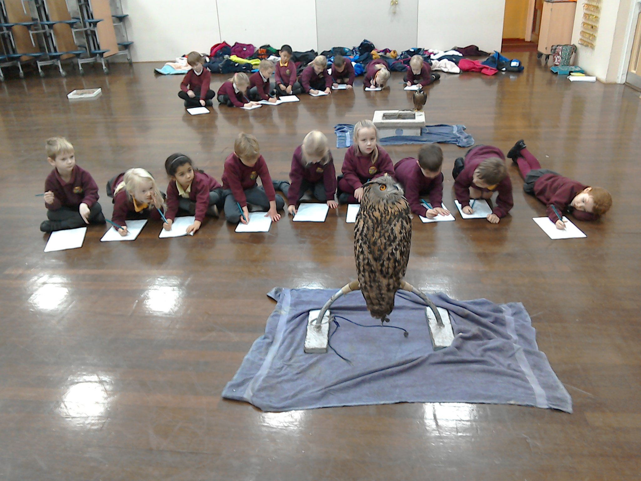 Image of Time flies as Silverband Falconry visit year 1!