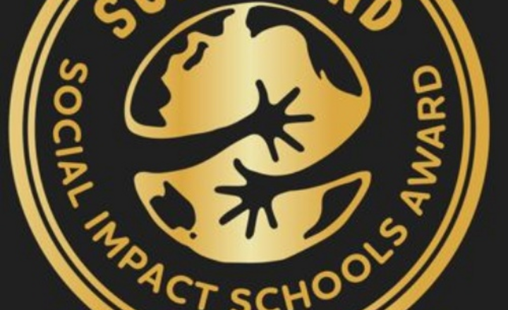 Image of SOCIAL IMPACT AWARD