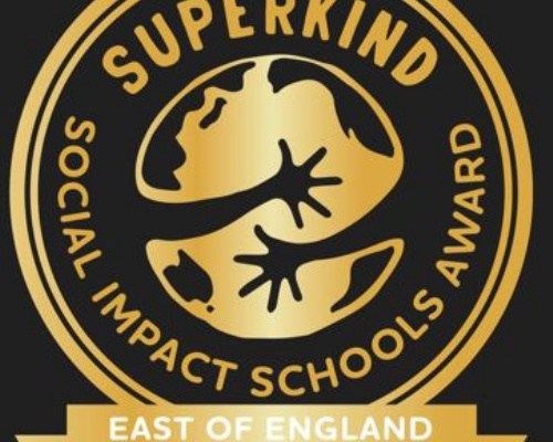 Image of SOCIAL IMPACT AWARD