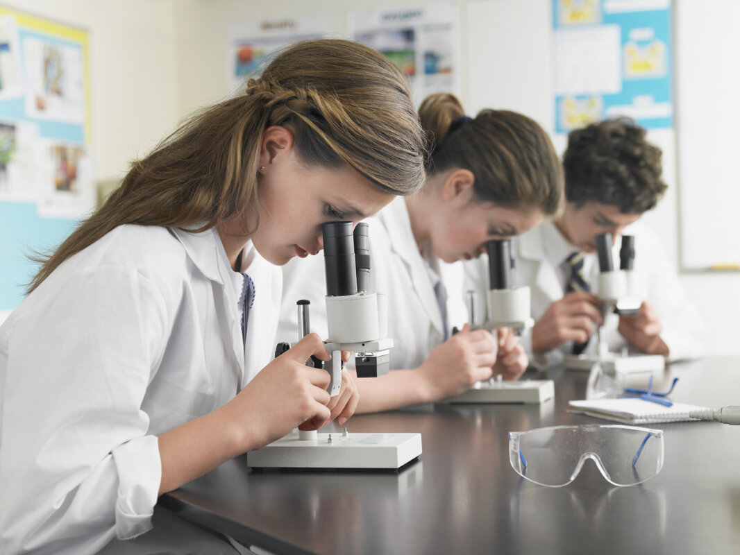 Image of Exploring Future Careers: Unity Academy Year 7 Students Dive into Photography and DNA Extraction at UCLAN