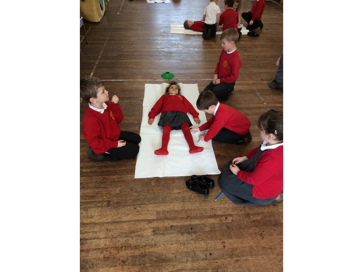 Our Bodies | Fleetwood's Charity Primary School