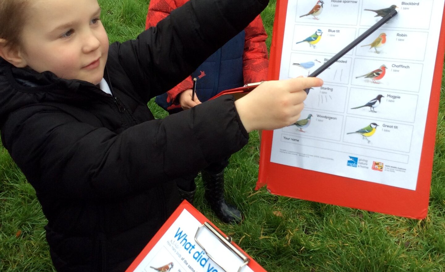 Image of Recording our findings....