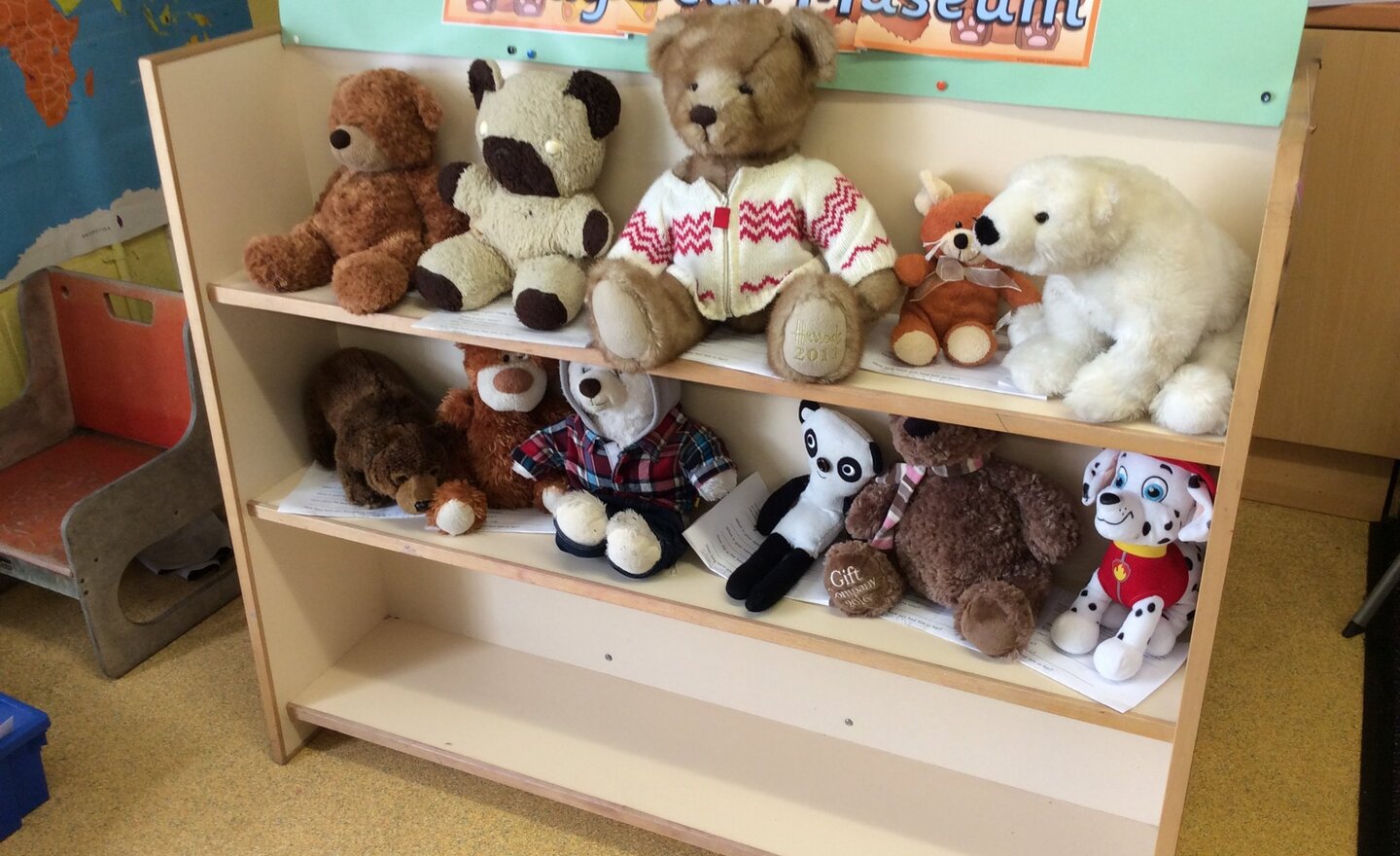 Image of Bears old and new!
