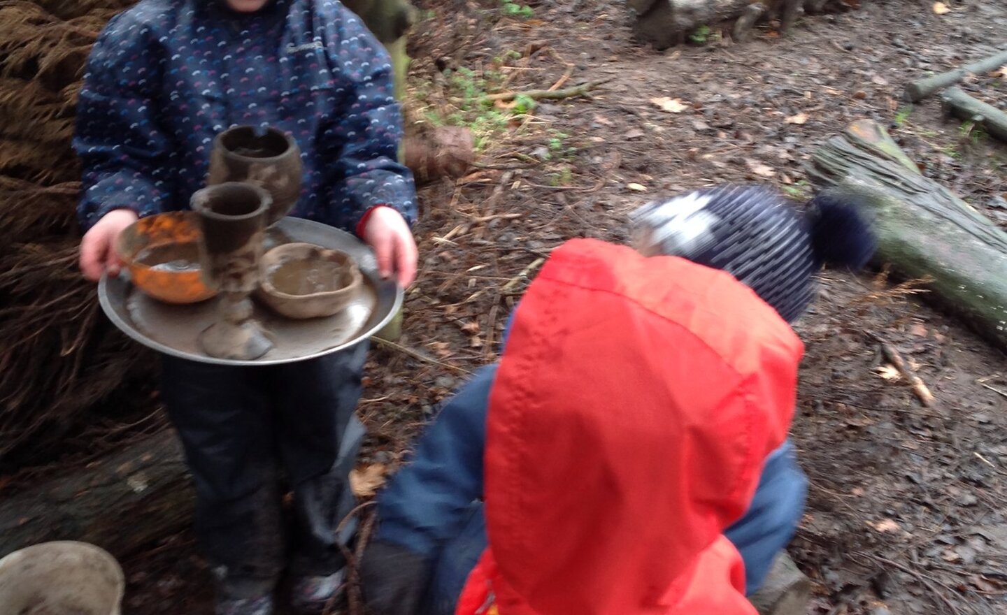 Image of Forest Fun!