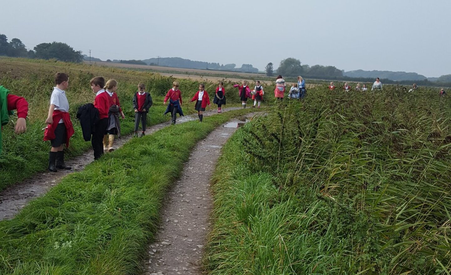 Image of Salt Mines Walk