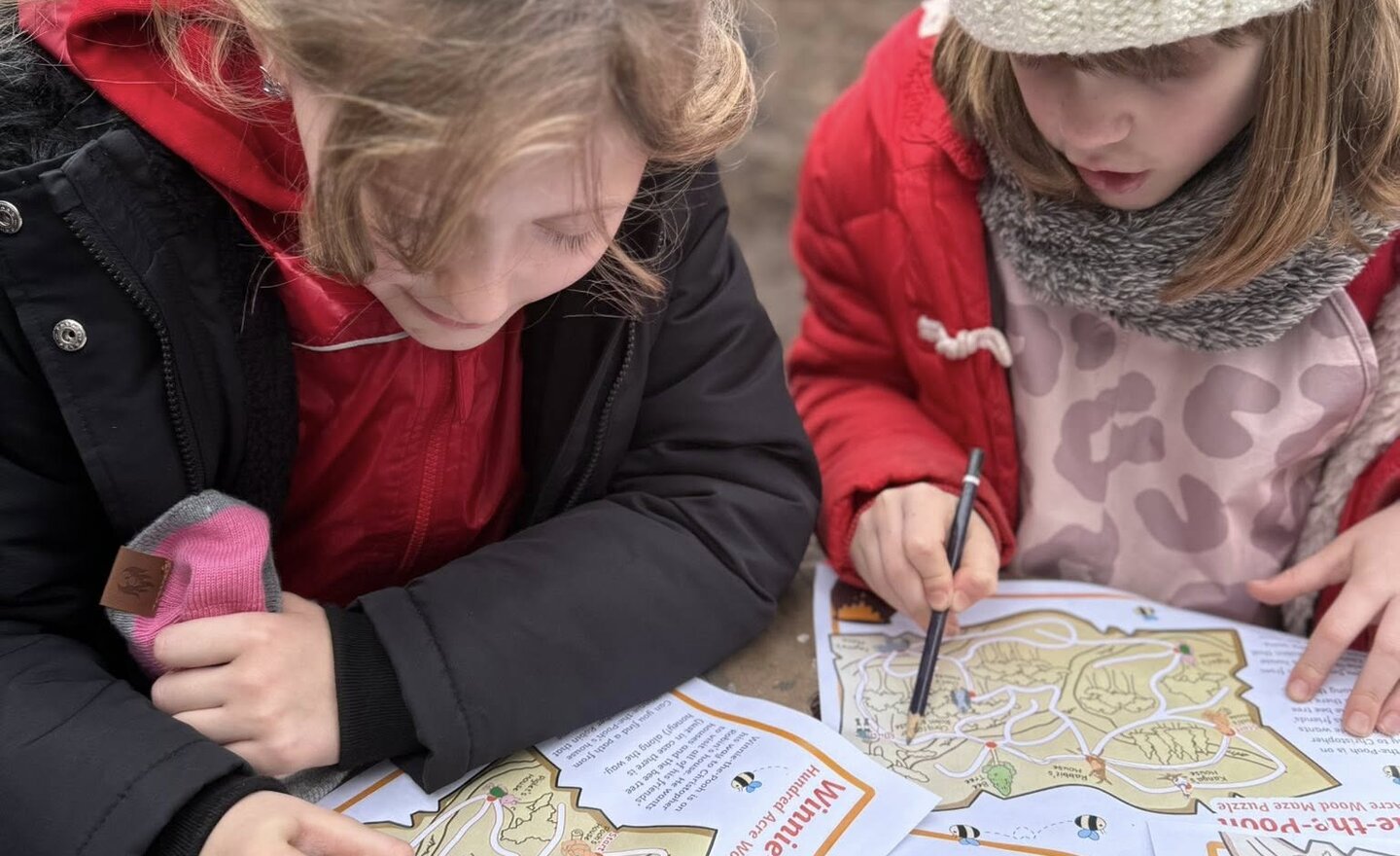 Image of Fun in the Forest!