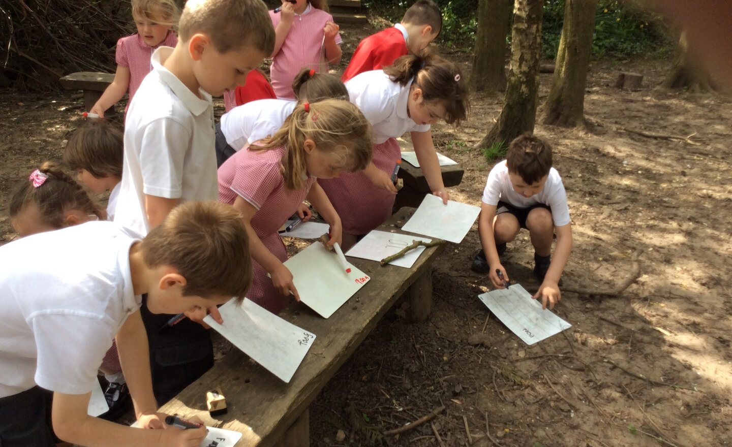 Image of Forest Phonics