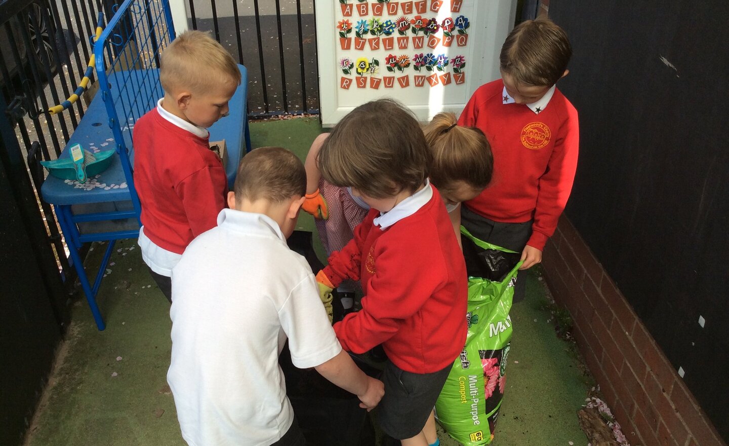Image of Planting Potatoes