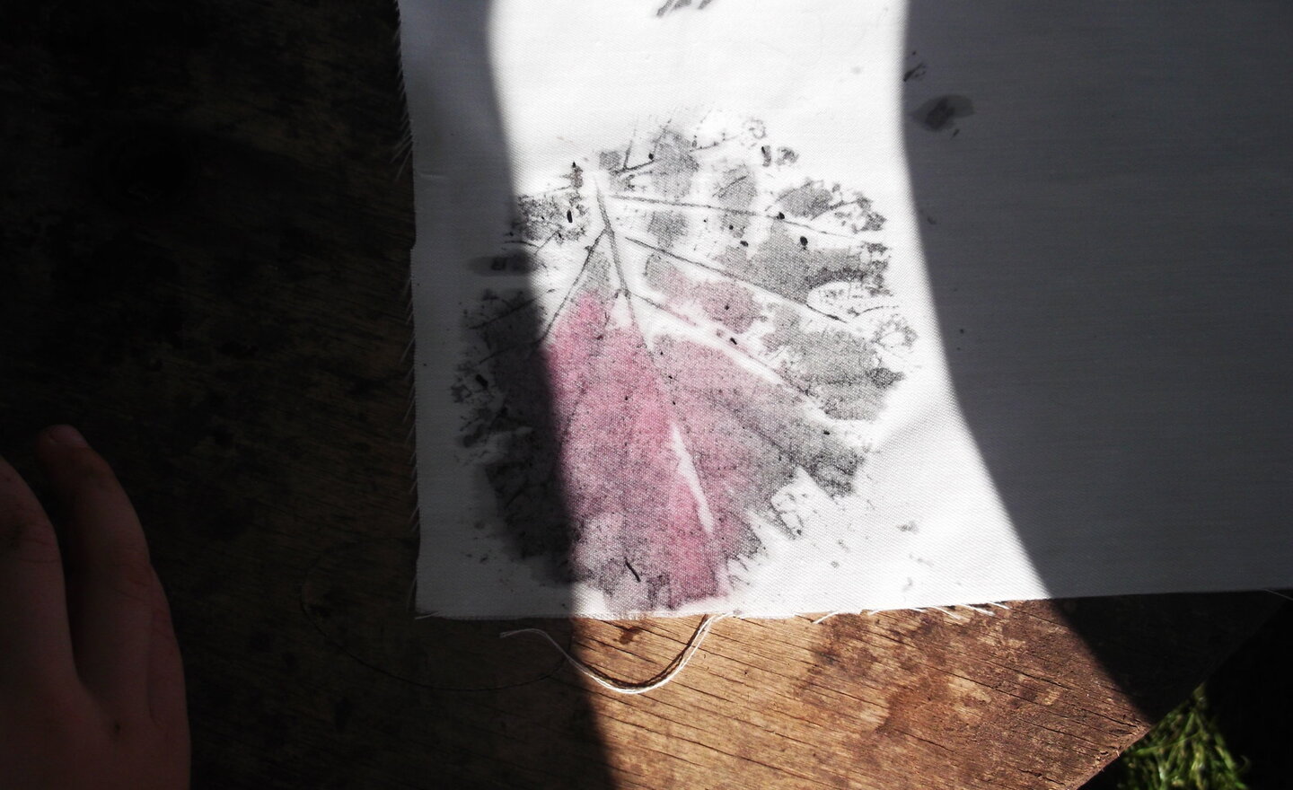 Image of Printing with natural paint